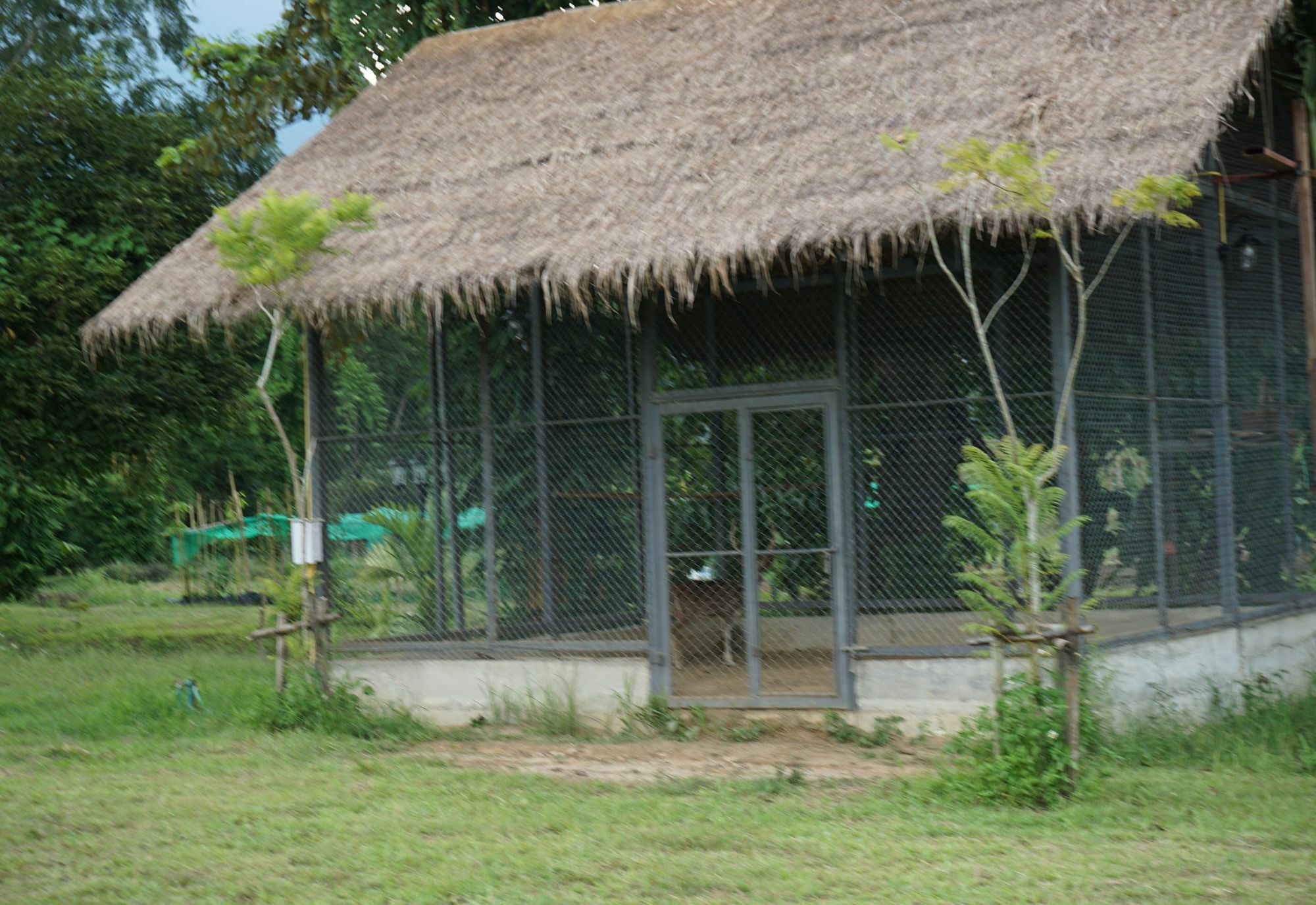 Hotel Ban Suan Tawan Chiang Dao Exterior foto